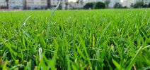 IMG_4388.jpeg