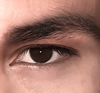 Morph.png