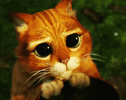 IMG_3612.gif IMG_3612.gif