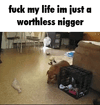 caption (1).GIF