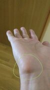 20230805_110354.jpg