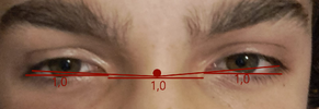 pct.png
