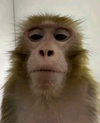 1764976087849.png