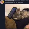 1000007507.webp