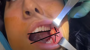 nbUnbenannt.png