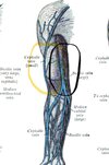 IMG_2709.jpeg