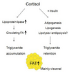 The-effect-of-cortisol-on-adiposity-FA-fatty-acids.png