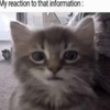 1714949680080.png