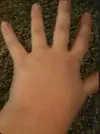 big hands.webp