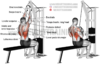 Lat-pull-down-with-rope.png