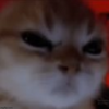 1716334766324.png