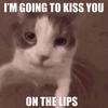 im-going-to-kiss-you-on-the-lips.gif