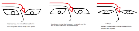1717075086920.png