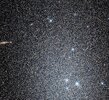 IMG_3600.jpeg