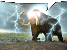 IMG_1494.gif