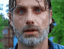 IMG_3354.gif