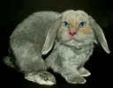 1000252518.webp