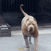 IMG_1671.gif