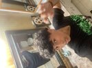 IMG_3236.jpeg