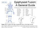 2859167_EpiphysealFusion_AGeneralGuide.jpg