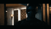 IMG_4975.gif