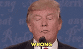 IMG_1113.gif