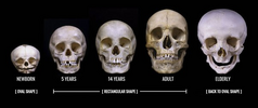 1719900788534.png