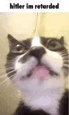 hitler.gif