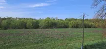 20260403_112242.webp