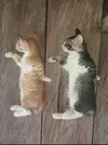 20260408_044747.webp