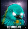 Screenshot_20260417_234957_TikTok.webp