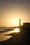 DSCF0826.webp
