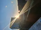 1000015513.webp