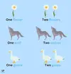 1777096168704.webp