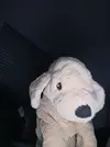 IMG20260426032954.webp
