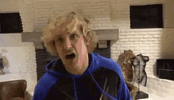 IMG_1380.gif
