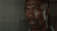 stare.gif