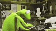 3875076_GIFs-2024183265.gif