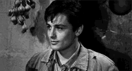 IMG_3111.gif