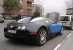 temp_image_766D4129-69EB-4A4E-9FF1-1AE84DC27E07.webp