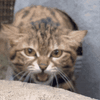 1000005565.gif
