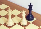 1780288572453.webp