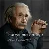 1780396792707.webp
