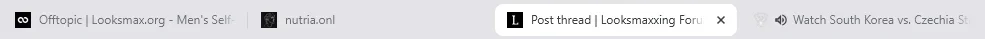 1781235560743.webp