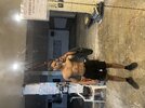 IMG_4622.jpeg