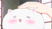 6392477_5104CC20-777F-47EF-9D35-FEEEAD365F06.gif