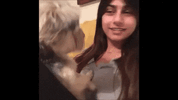 IMG_1582.gif