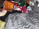 image.webp