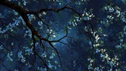 ecd45496b6780857452edeb06ea91702.webp