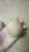 1000054591.jpg
